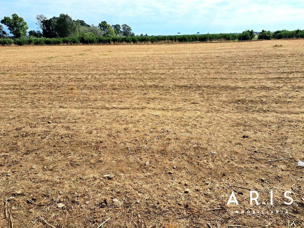 Land for sale in Alhaurín de la Torre, Malaga photo 2