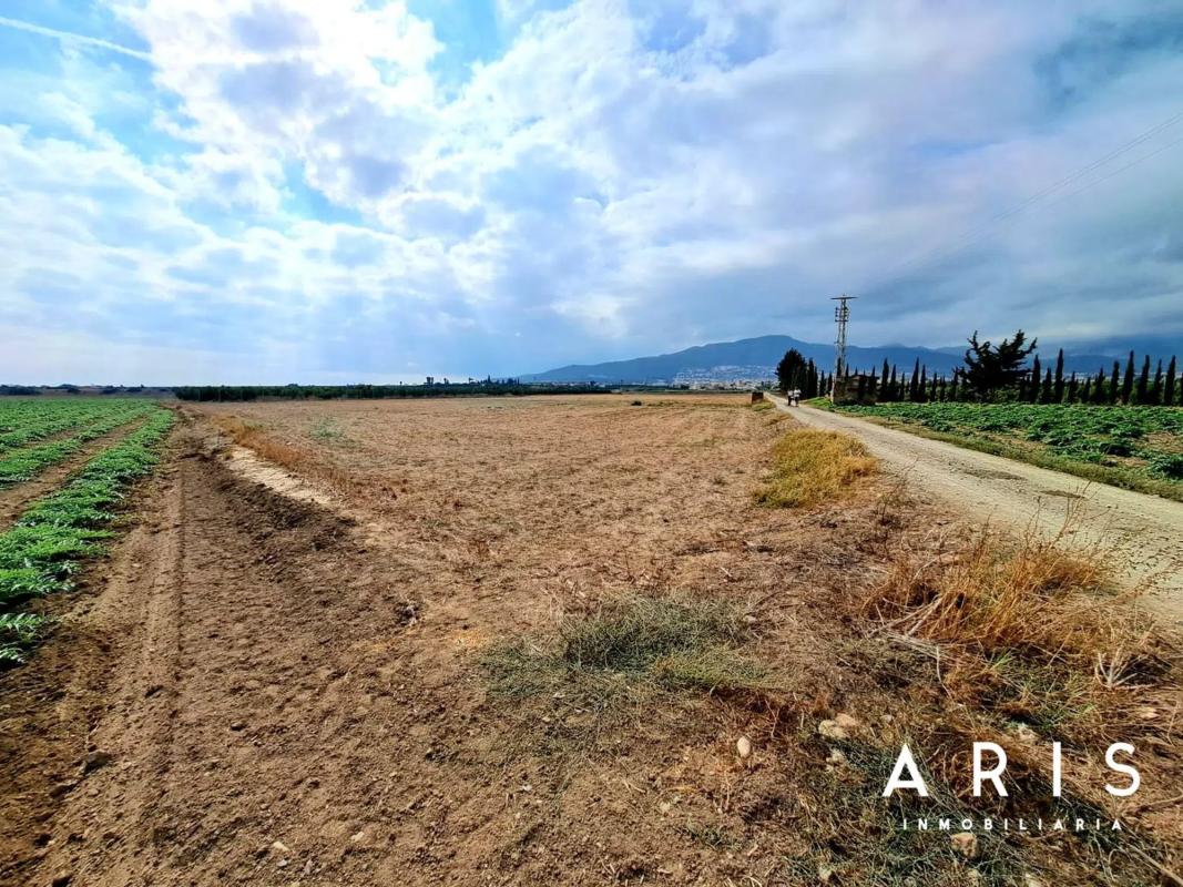 Land for sale in Alhaurín de la Torre, Malaga photo 3