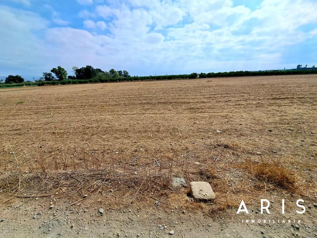 Land for sale in Alhaurín de la Torre, Malaga photo 4