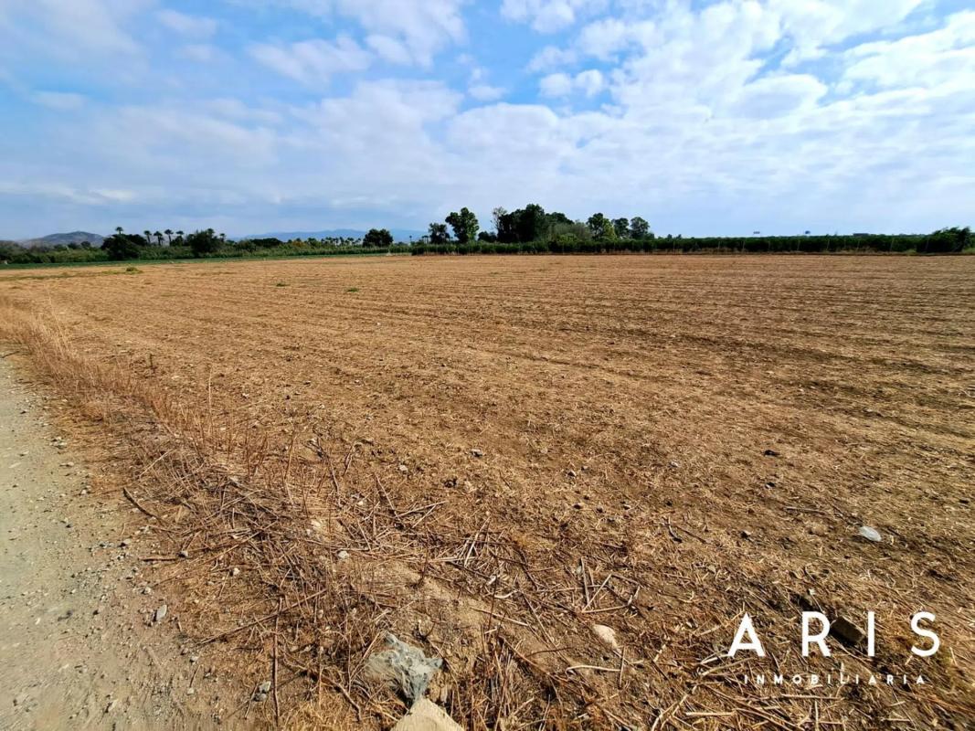 Land for sale in Alhaurín de la Torre, Malaga photo 5