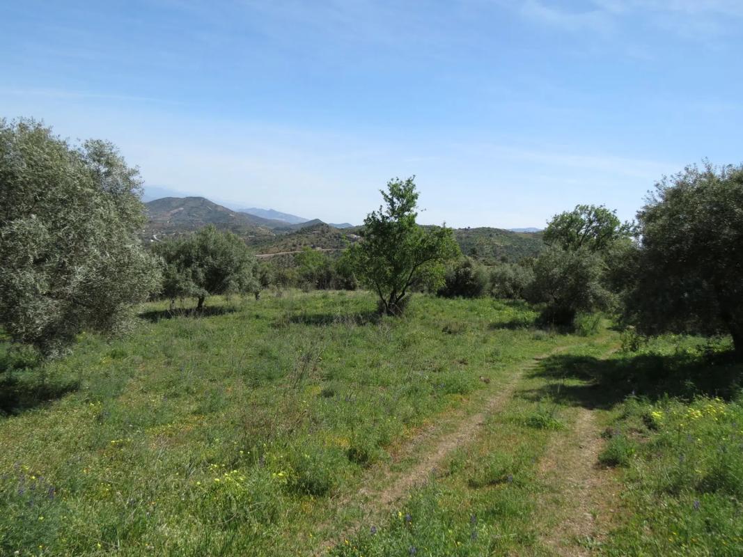 Land for sale in Guaro, Malaga photo 2