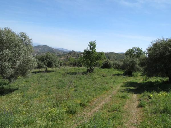 Terreno en Guaro photo 2