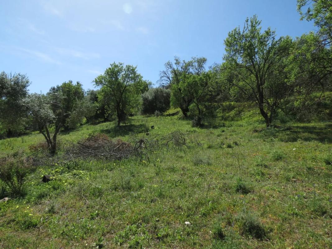 Land for sale in Guaro, Malaga photo 3