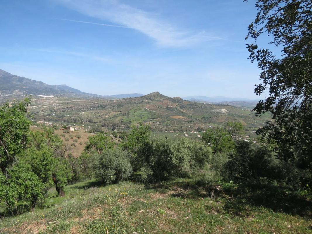 Land for sale in Guaro, Malaga photo 4