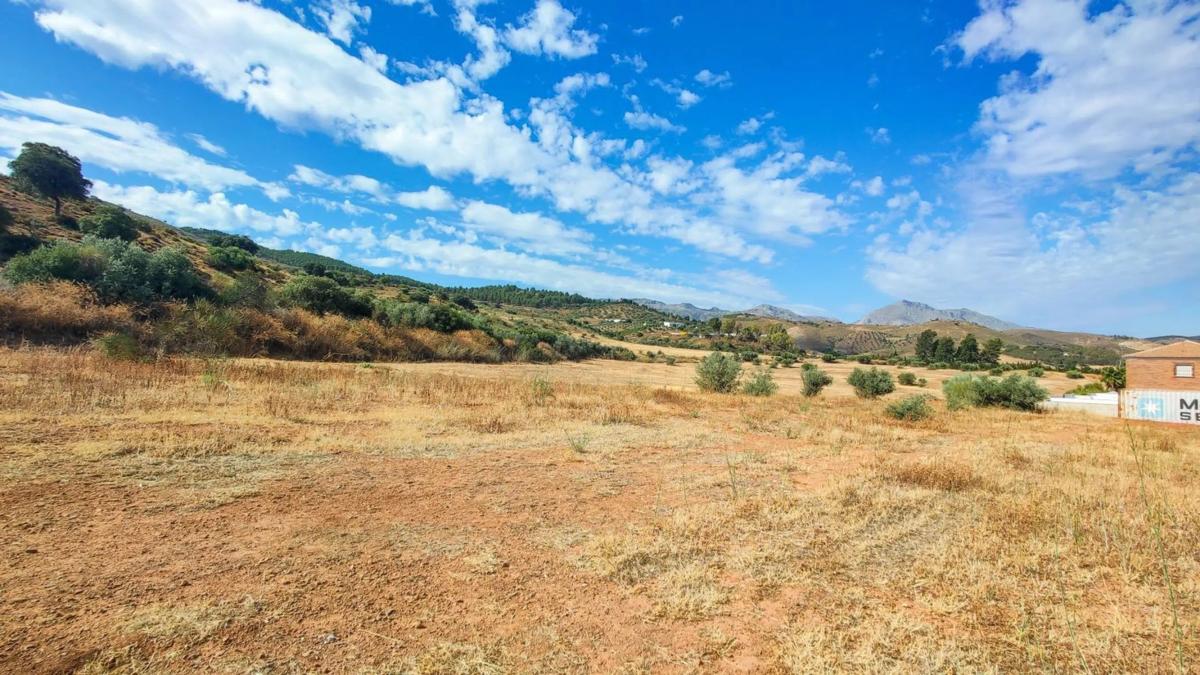 Działka na sprzedaż w Antequera, Malaga photo 1
