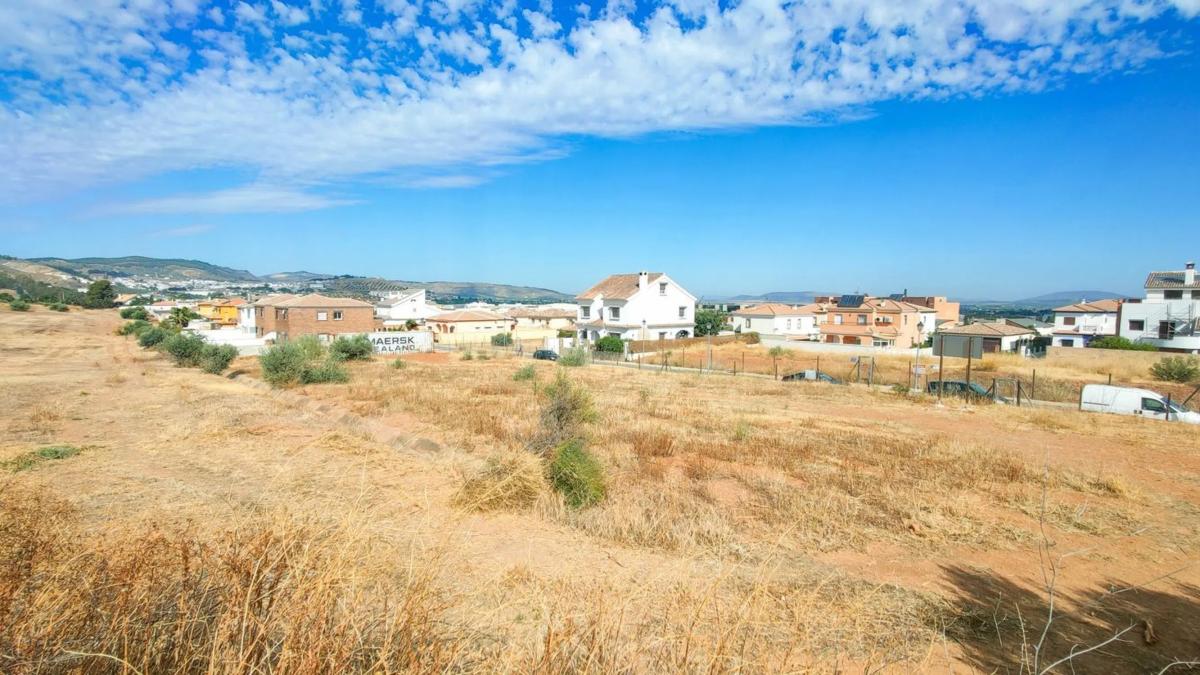 Działka na sprzedaż w Antequera, Malaga photo 2