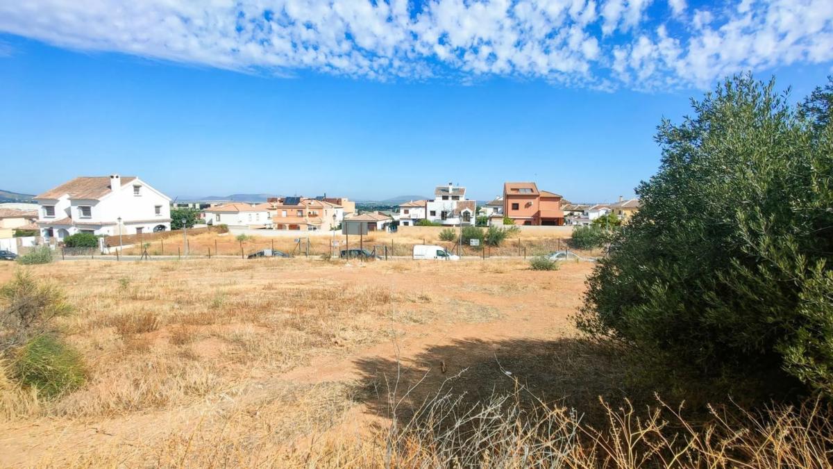 Działka na sprzedaż w Antequera, Malaga photo 4