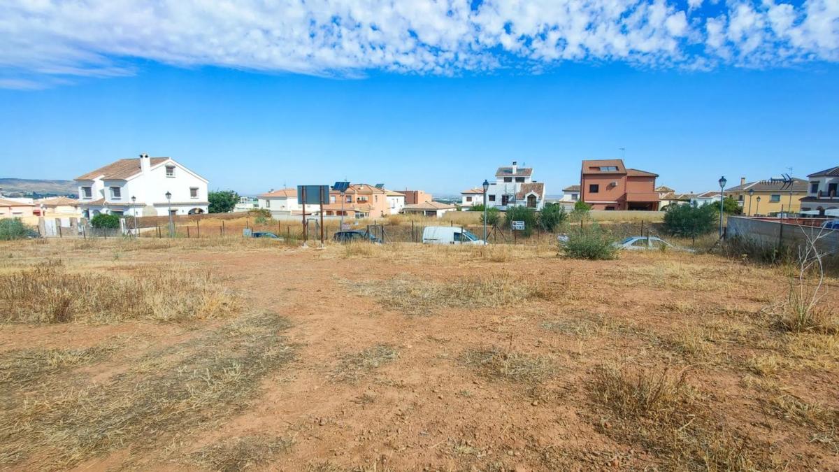 Działka na sprzedaż w Antequera, Malaga photo 5