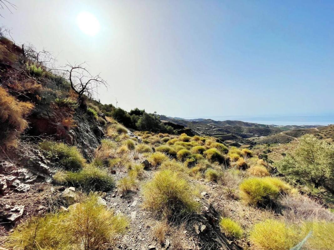 Terreno en venta en Sayalonga, Malaga photo 1