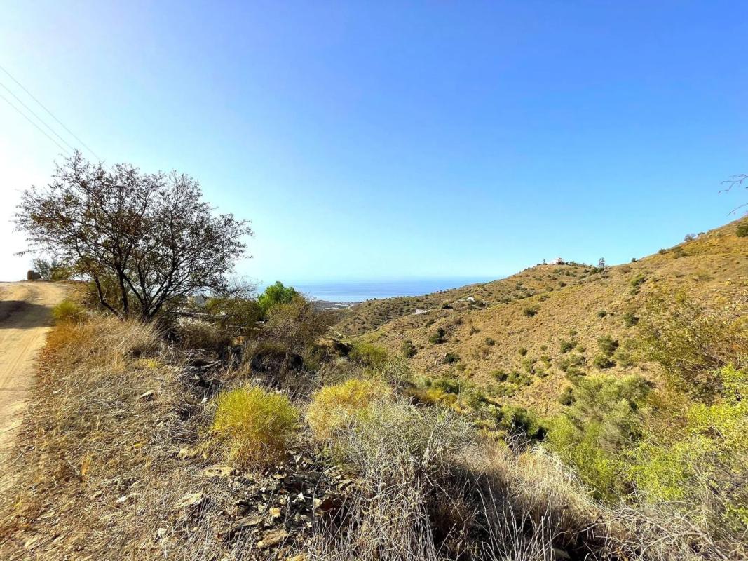 Terreno en venta en Sayalonga, Malaga photo 2