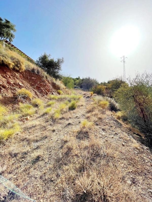 Terreno en venta en Sayalonga, Malaga photo 3