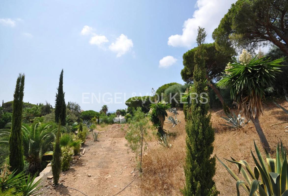 Działka na sprzedaż w Marbella, Malaga photo 3