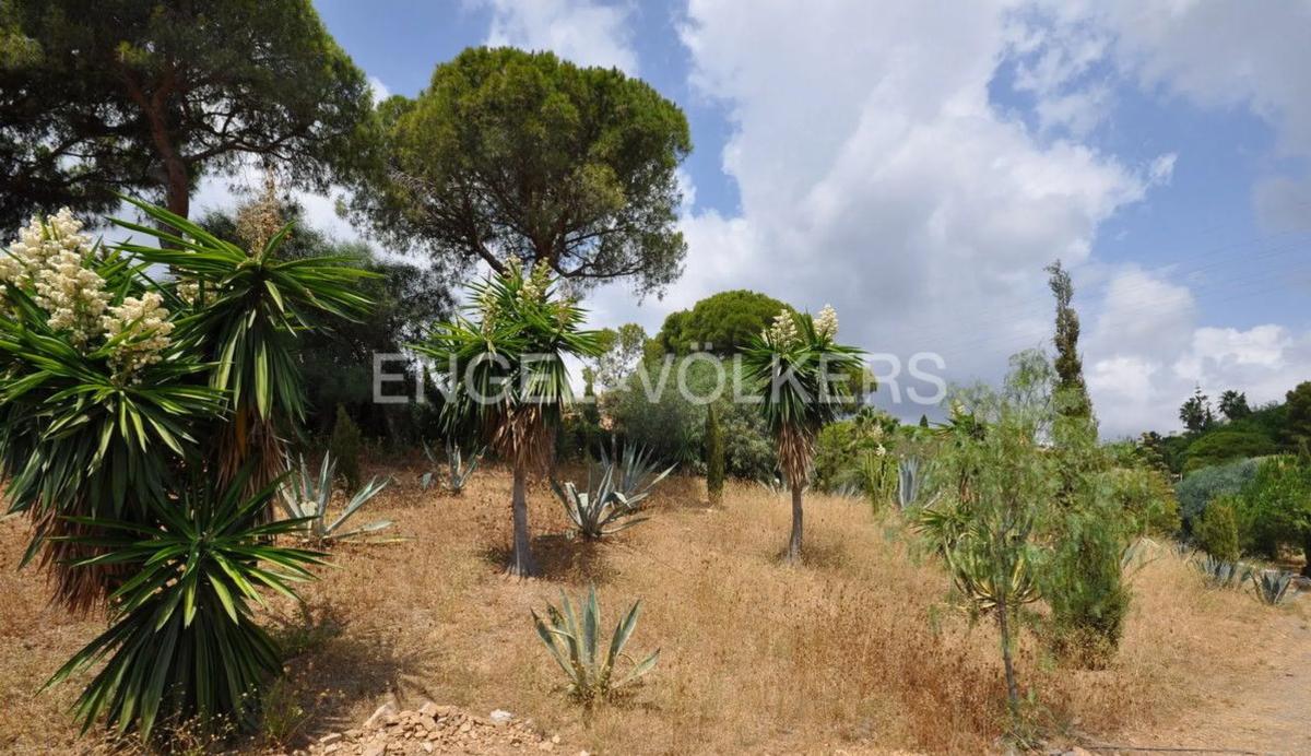 Działka na sprzedaż w Marbella, Malaga photo 5