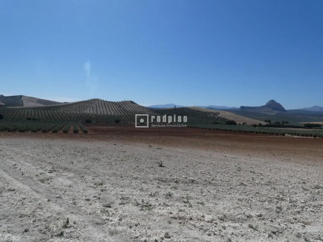 Działka na sprzedaż w Antequera, Malaga photo 1