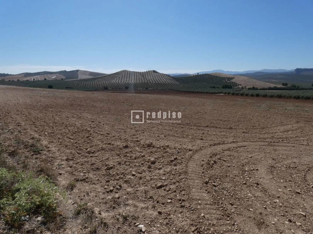 Działka na sprzedaż w Antequera, Malaga photo 3