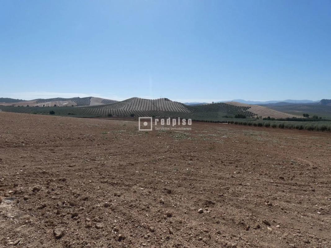 Działka na sprzedaż w Antequera, Malaga photo 4
