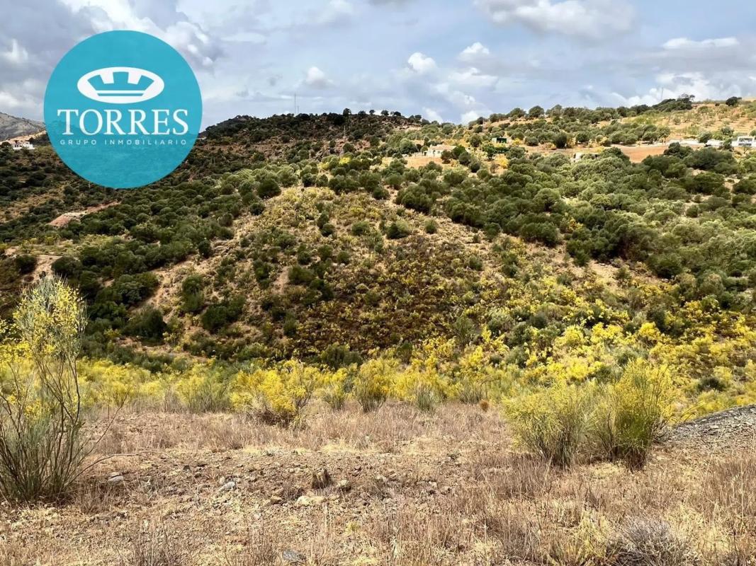 Terreno en venta en Almogía, Malaga photo 1