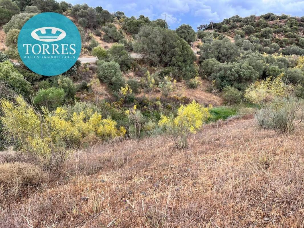 Terreno en venta en Almogía, Malaga photo 2