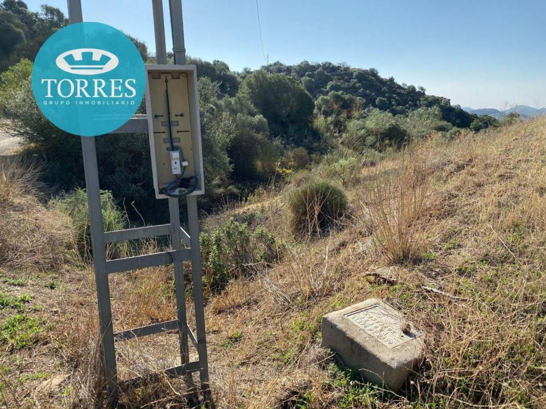 Terreno en venta en Almogía, Malaga photo 4
