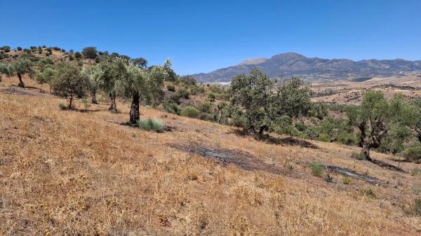 Terreno en camino Rural Río Grande, km 3 photo 4