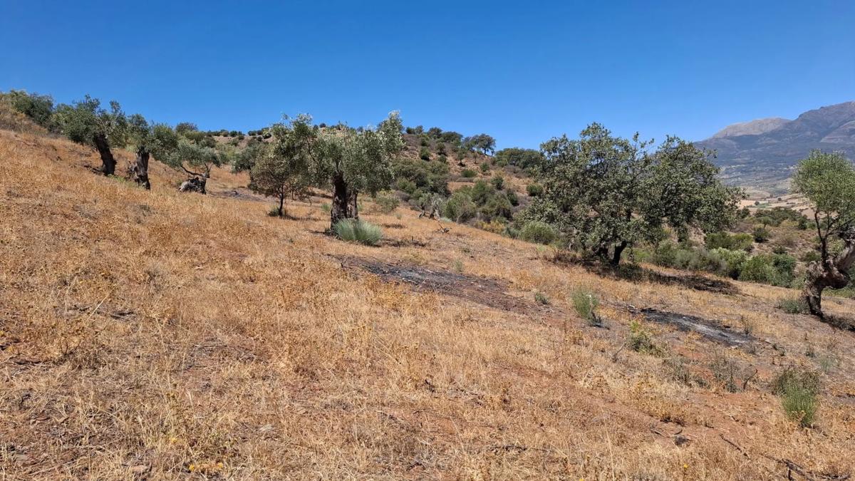 Land for sale in Coin, Malaga photo 5