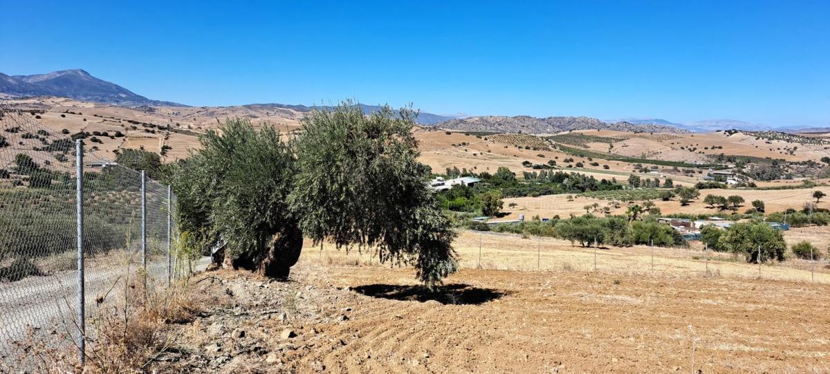 Działka na sprzedaż w Moneta, Malaga photo 2