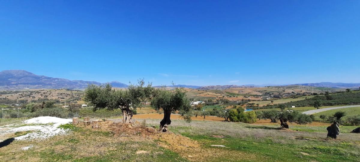 Działka na sprzedaż w Moneta, Malaga photo 3