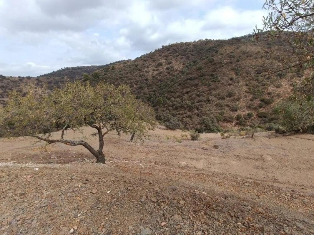 Terreno en venta en Casabermeja, Malaga photo 5