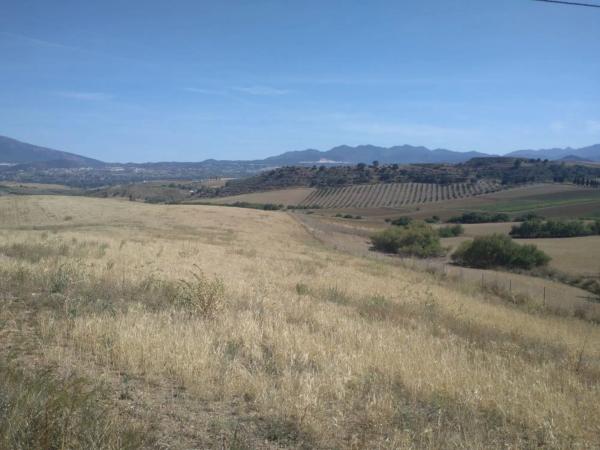 Terreno en camino de Gibralgalia photo 2