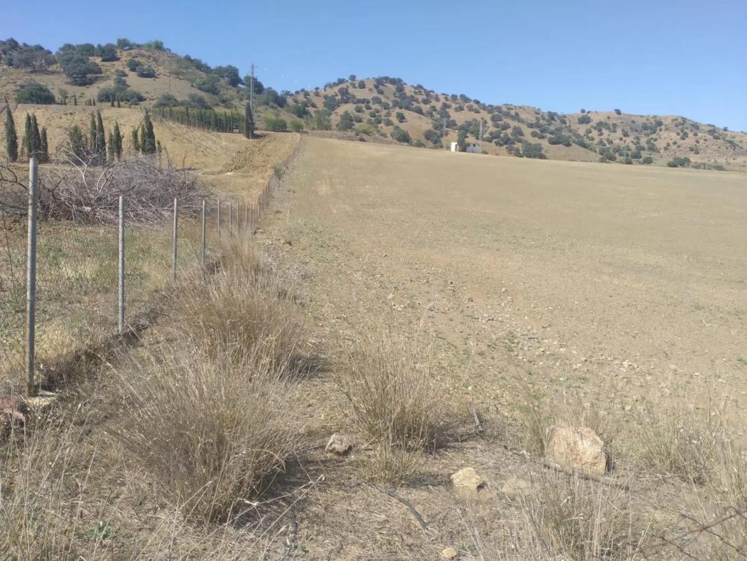 Terreno en venta en Coin, Malaga photo 4