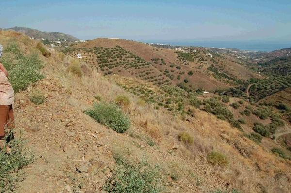 Terreno en Frigiliana photo 4