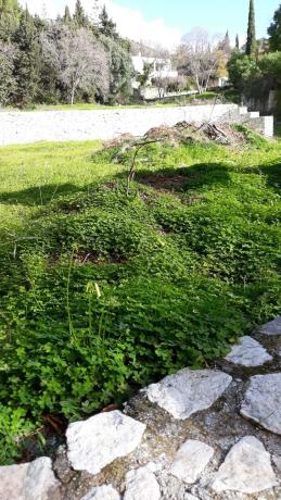 Terreno en Santa Rosa s/n photo 3