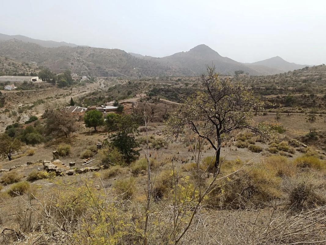 Terreno en venta en Almogía, Malaga photo 1