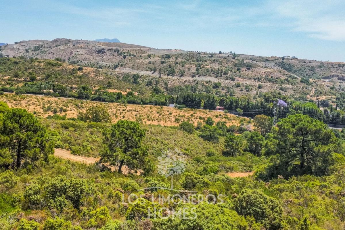 Terreno en venta en Benahavís, Malaga photo 2