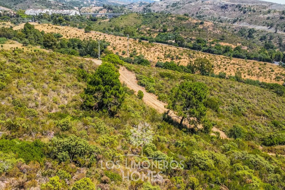 Terreno en venta en Benahavís, Malaga photo 4