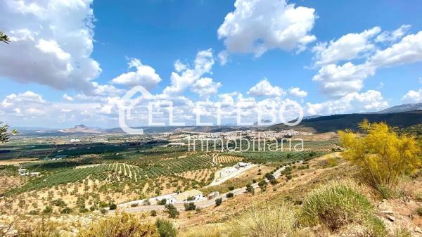 Terreno en Bobadilla - Bobadilla Estación - La Joya photo 2