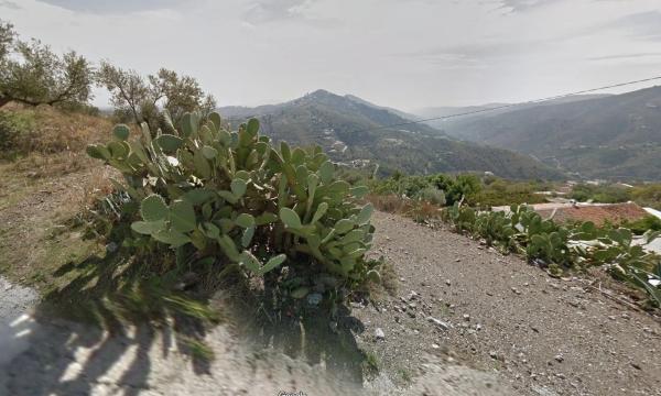 Terreno en camino del Pedregal, km 6 thumbnail 1