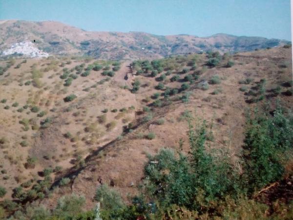 Terreno en El Valdés s/n photo 3