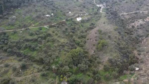 Terreno en olivar los pechos s/n photo 1