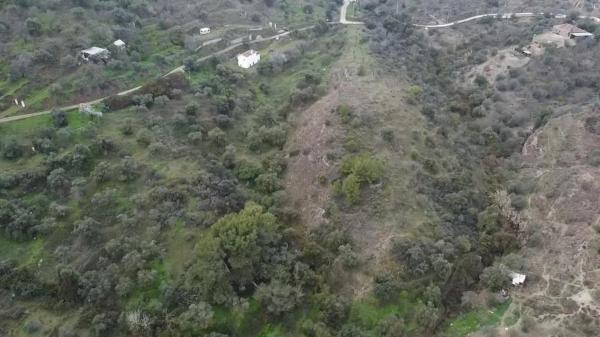 Terreno en olivar los pechos s/n photo 4