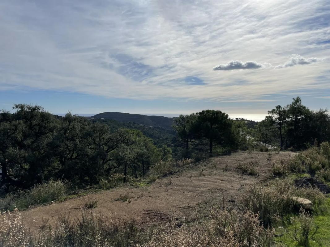 Terreno en venta en Benahavís, Malaga photo 3