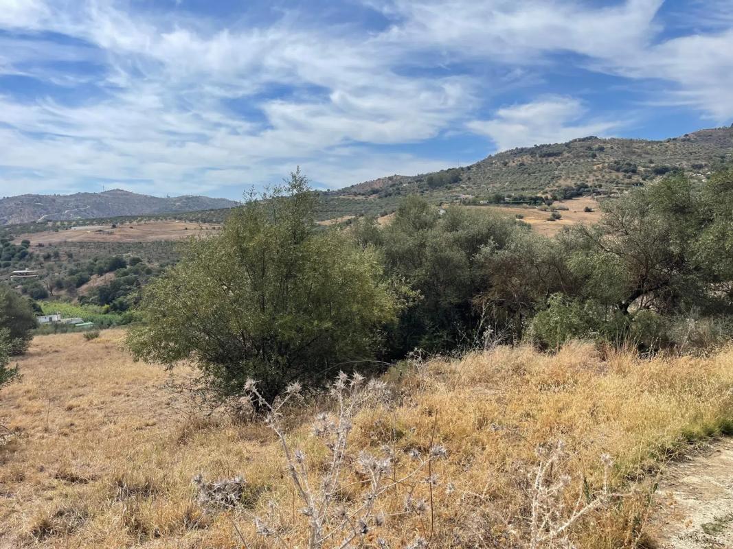 Działka na sprzedaż w Guaro, Malaga photo 3