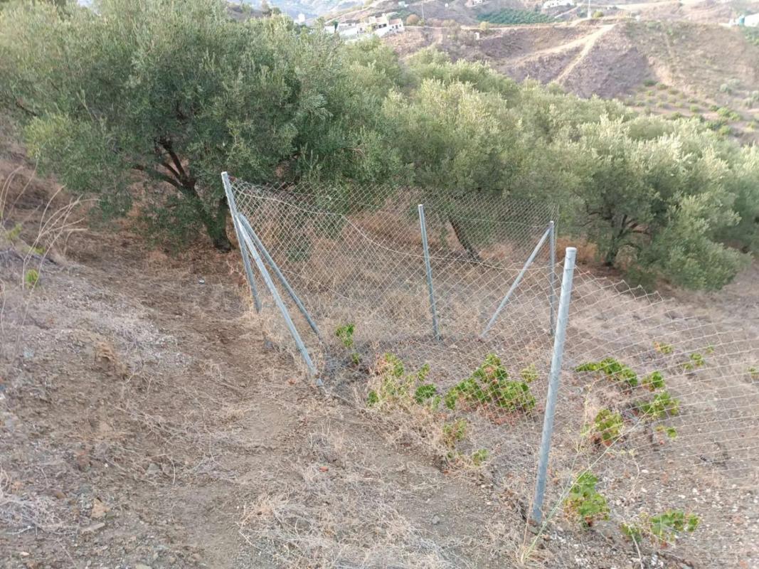 Land for sale in Almachar, Malaga photo 2