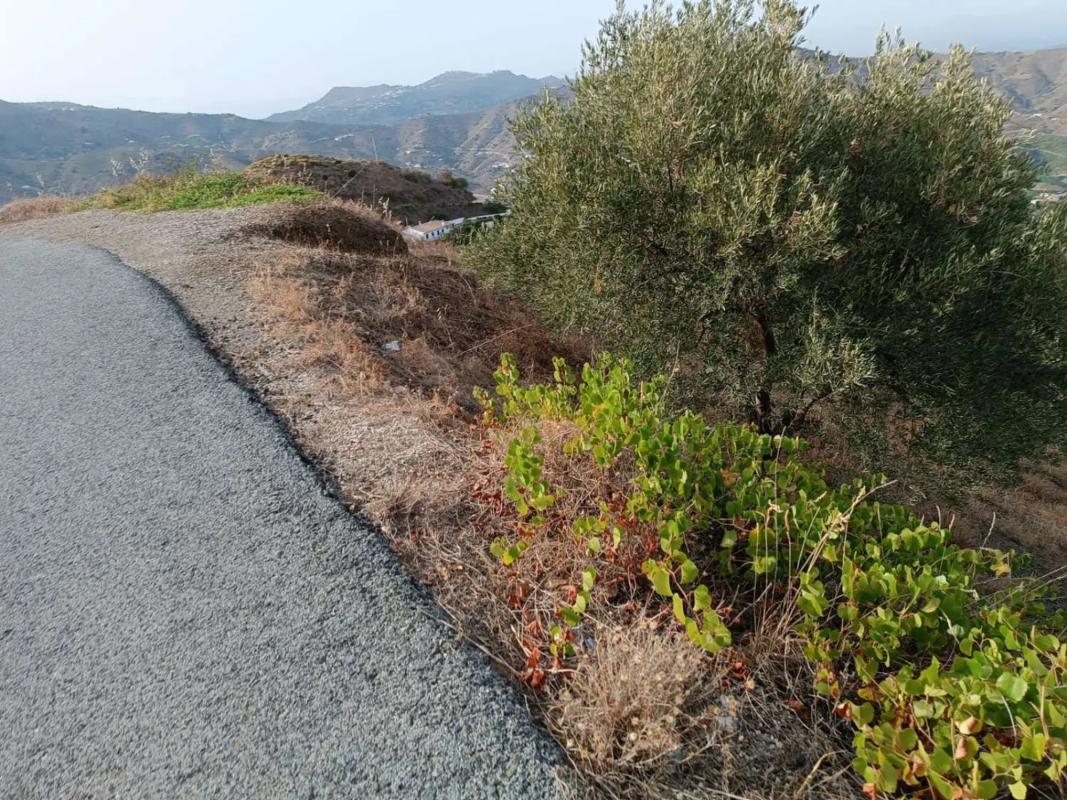 Land for sale in Almachar, Malaga photo 5