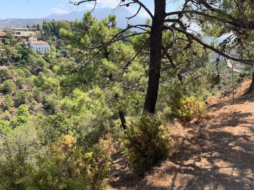 Terreno en venta en Benahavís, Malaga photo 3
