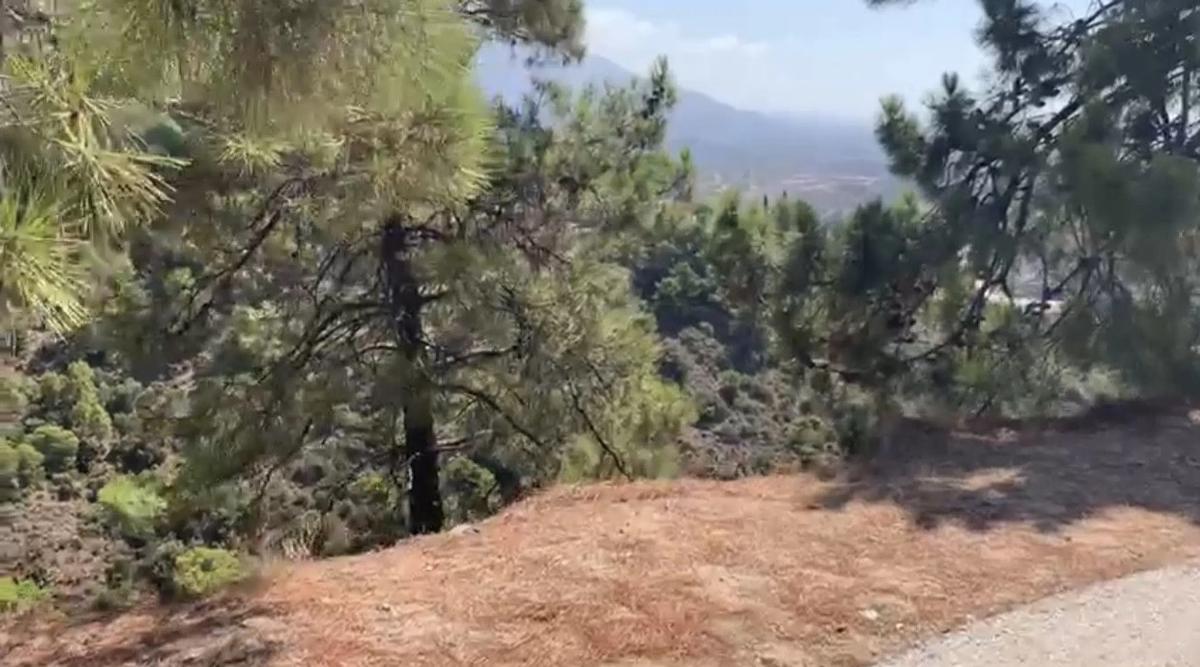 Terreno en venta en Benahavís, Malaga photo 5
