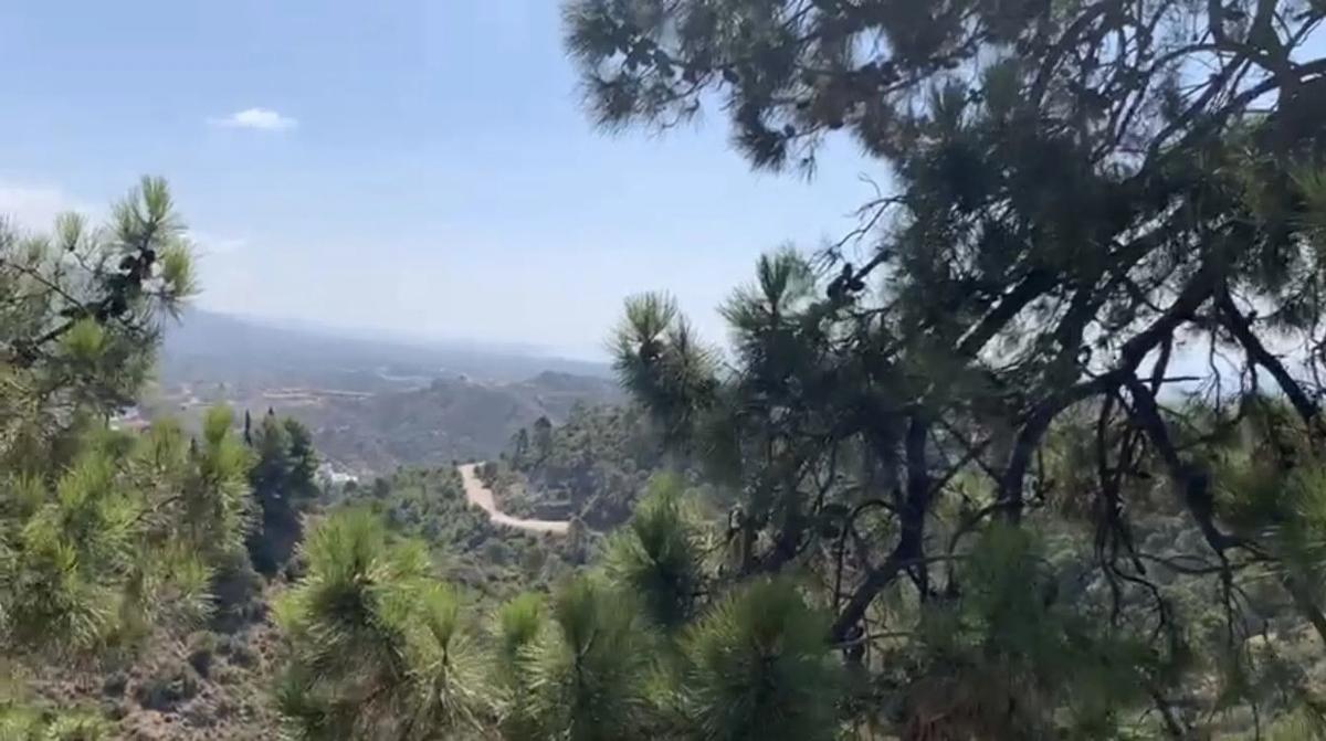 Terreno en venta en Benahavís, Malaga photo 2