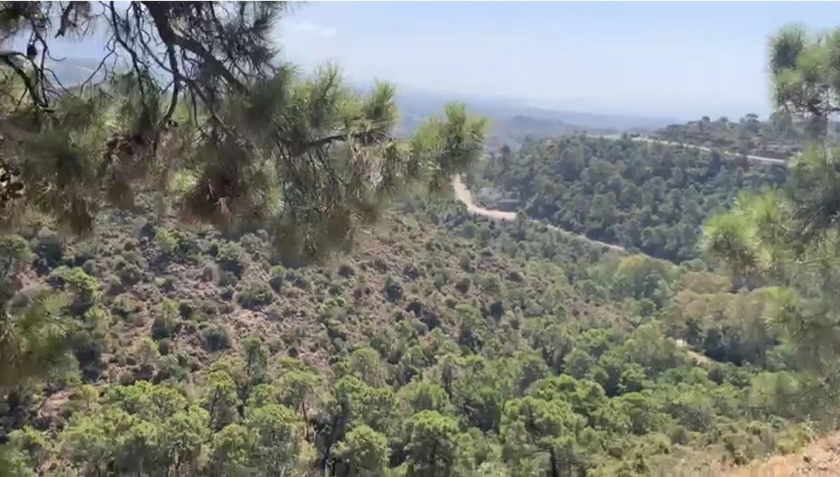 Terreno en venta en Benahavís, Malaga photo 4