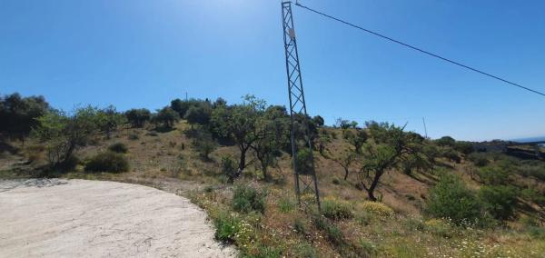 Terreno en A-7001 thumbnail 3