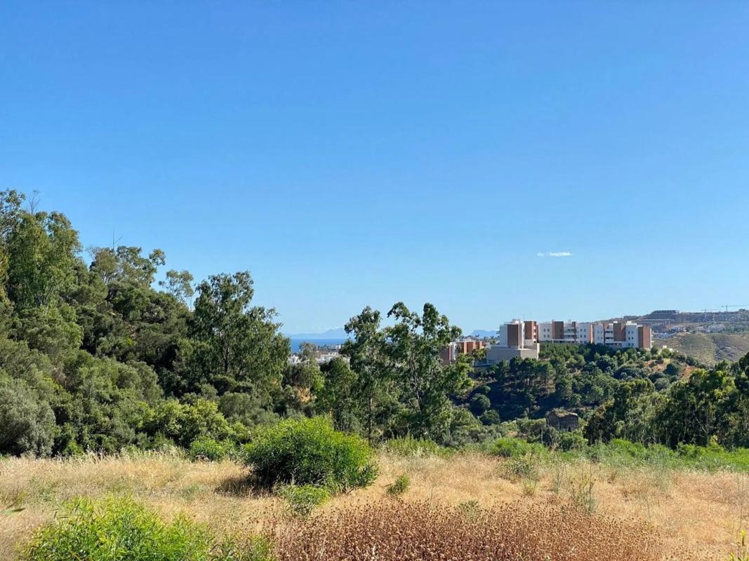 Land for sale in Benahavís, Malaga photo 3